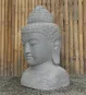 morepic-4